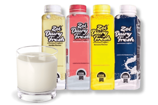 Premium dairy yogurt